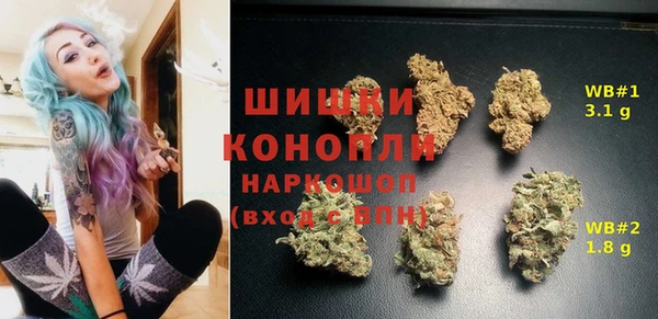 дмт Алзамай