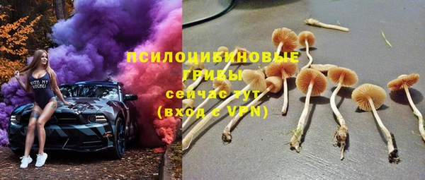 ГАЛЛЮЦИНОГЕННЫЕ ГРИБЫ Алексеевка