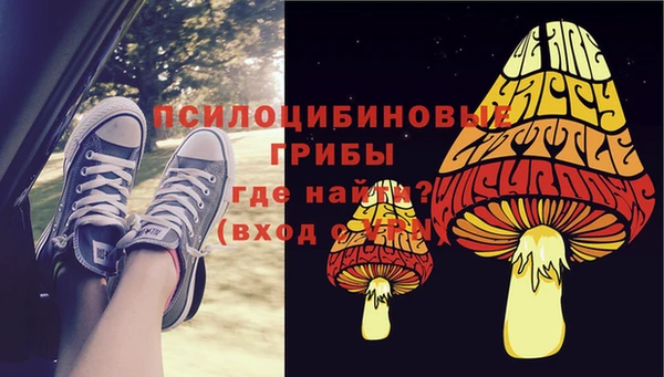 дмт Алзамай