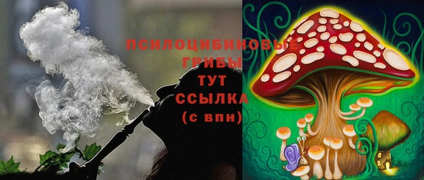 меф Алексин