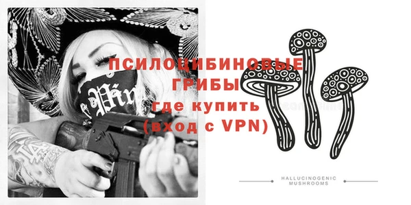 ГАЛЛЮЦИНОГЕННЫЕ ГРИБЫ Алексеевка