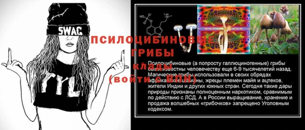 меф Алексин