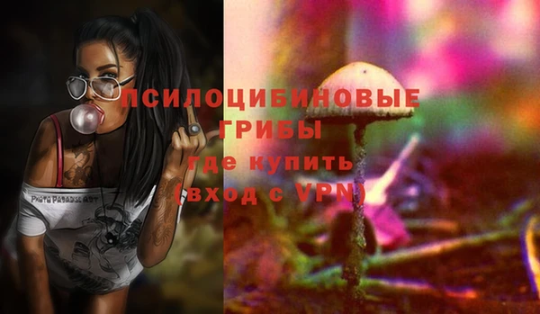 ГАЛЛЮЦИНОГЕННЫЕ ГРИБЫ Алексеевка